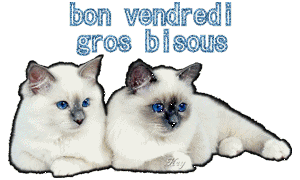 Gif animé Bon vendredi chats